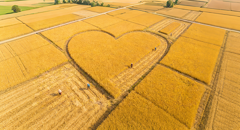 吴中区横泾特色婚俗馆