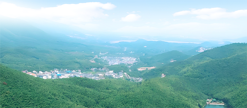 宜兴市在外优秀人士<br/>视觉品牌设计